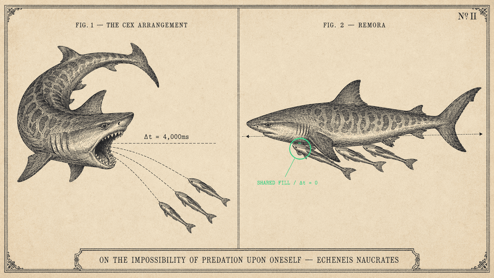 Figure 1: the CEX arrangement, a shark striking at followers 4000ms behind. Figure 2: Remora, the shoal riding the same fill as the host, zero latency.